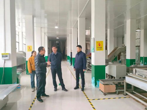 科技賦能春茶飄香——安康市農技中心赴鎮坪開展春茶生產指導與信息技術咨詢服務